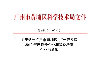 奔跑、跳跃我不停歇，青鹿入选瞪羚培育企业！